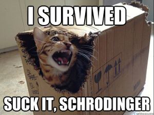 Schrodinger cat.jpg